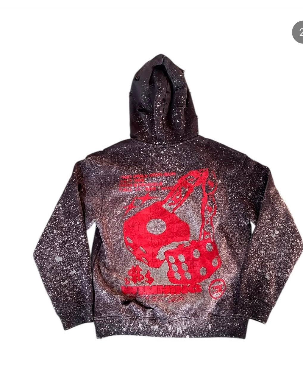 WWY Crimson Risk Hoodie back